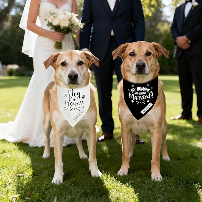 Realeaf My Humans are Getting Married Dog of Honor Dog Bandana,Wedding Outfit for Boy and Girl, Premium Durable Fabric, Engagement Announcement for Large and XLarge Dogs (Large)