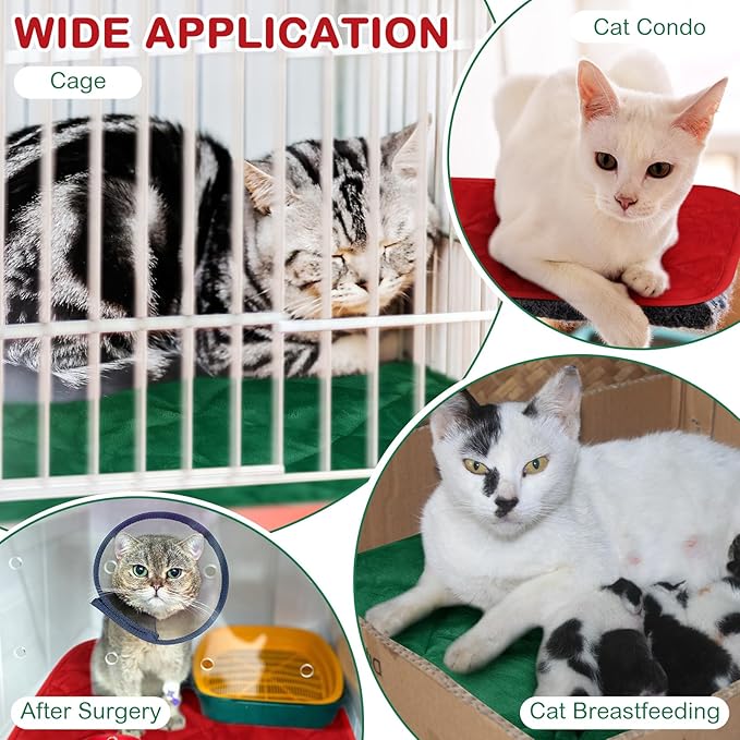 Clysee 2 Pack Self Heating Cat Mat Self Warming Pet Pads Washable Kennel Mat Dog Crate Pad Reflects Body Heat Non Skid Cat Thermal Pads for Puppy Indoor Outdoor (Red, Green,16 x 20 Inches)