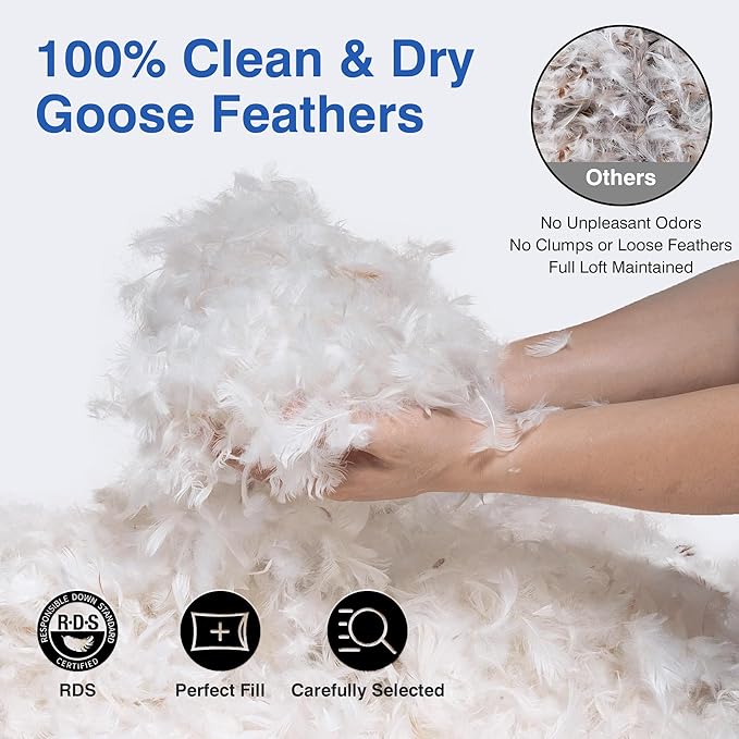 zibroges Feather Pillows Queen Size Set of 2 - Goose Down Hotel Bed Pillow for Sleeping, Soft 600 Thread Count Cotton Cover, Fluffy Support Surround Fill Polyester for Side, Back, Stomach Sleepers
