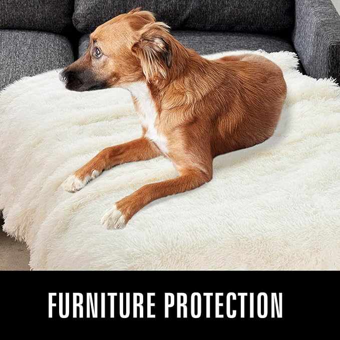 LOCHAS Luxury Fluffy Dog Blanket, Extra Soft and Warm Sherpa Fleece Pet Blankets for Dogs Cats, Plush Furry Faux Fur Puppy Throw Cover, 20''x30'' Cream White
