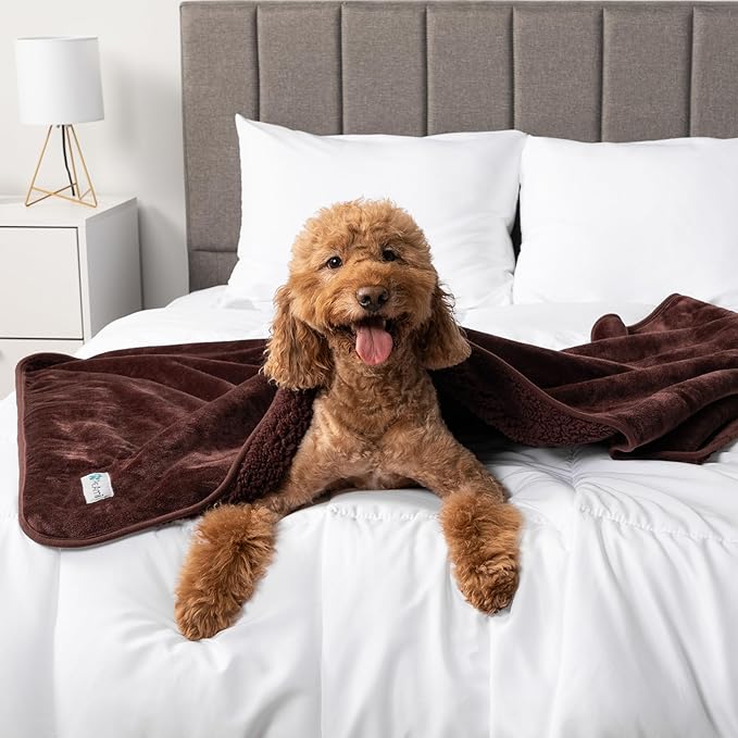 PetAmi Waterproof Dog & Cat Blanket, Pee Proof for Couch, Reversible, Soft Fleece, Washable, 24x32 Brown