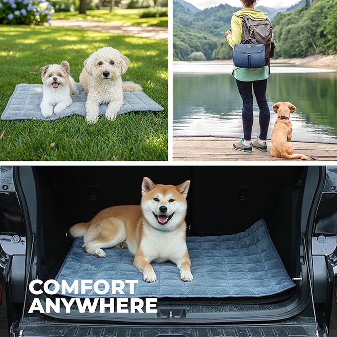 KindTail Nomad Nap Mat - Travel Dog Bed - Machine Washable, Water-Resistant Dog Mat for Pets up to 50 lbs - Lightweight, Portable Pet Bed with Carry Handle - Folds to 14 x 9 x 5 (1.5 lbs, Blue)