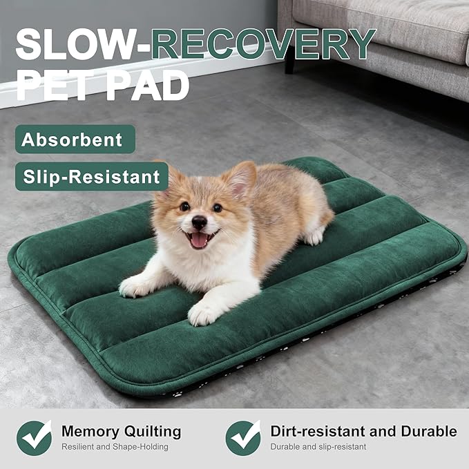 Fogkiss Dog Bed Mat, Reversible Dog Crate Pad with Washable Kennel Mat and Soft Foam, Flat Pet Bed for Dogs & Cats, for Crates Carriers & Travel (Green, 23" L*14" W*1.5" Th)