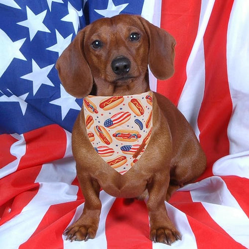 ADOGGYGO American Flag Dog Bandana, Ice Cream Hamburg Flag Pet Scarf, Premium Durable Fabric, Patriotic 4th of July Bandanas for Small Dogs Pets (Small)