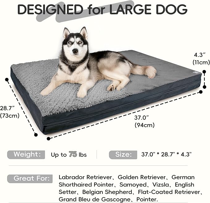 Sytopia Washable 37" Dog Bed for Large Dogs – Double-Sided Plush, Waterproof, Removable Cover, Thick Orthopedic Support, Durable Multi- Size Comfort Clearance Indoor Flat Dog Bed, Dark Grey