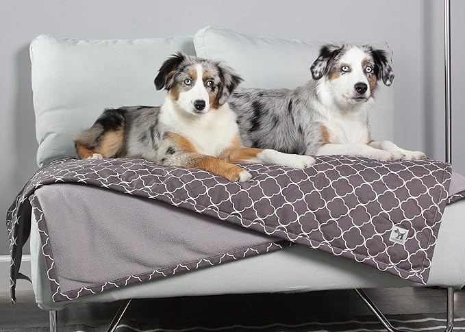 Molly Mutt Pet Blanket, 100% Cotton Canvas Top with Fleece Underside, Machine Washable, Durable and Comfortable, Ideal for Sofa, Couch, and Cars, No Harmful Chemicals, 48"x52"