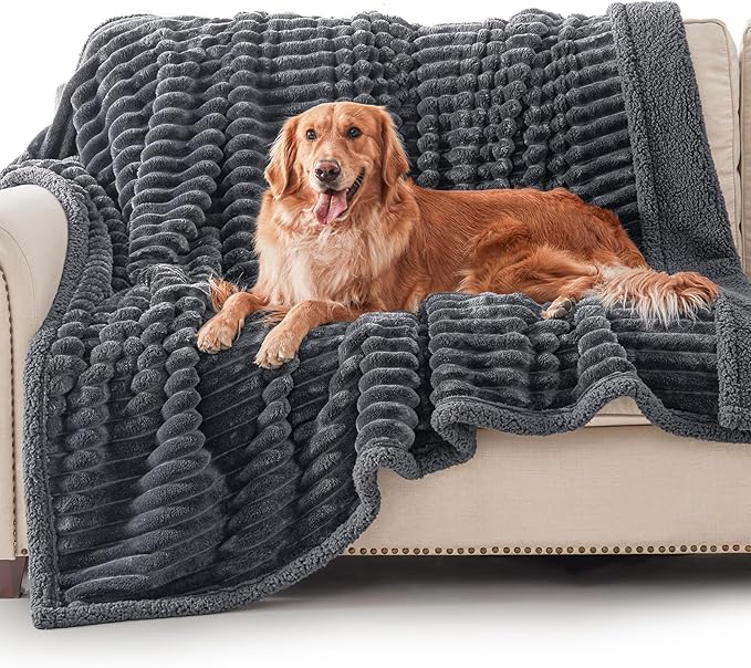 AIPERRO Waterproof Dog Blanket for Large Dogs, Washable Soft Puppy Cat Blanket Flannel Cotton Velour for Sofa Couch Protector, Comfort & Security Reversible Bed Protection for Pet, 60"X80", Gray