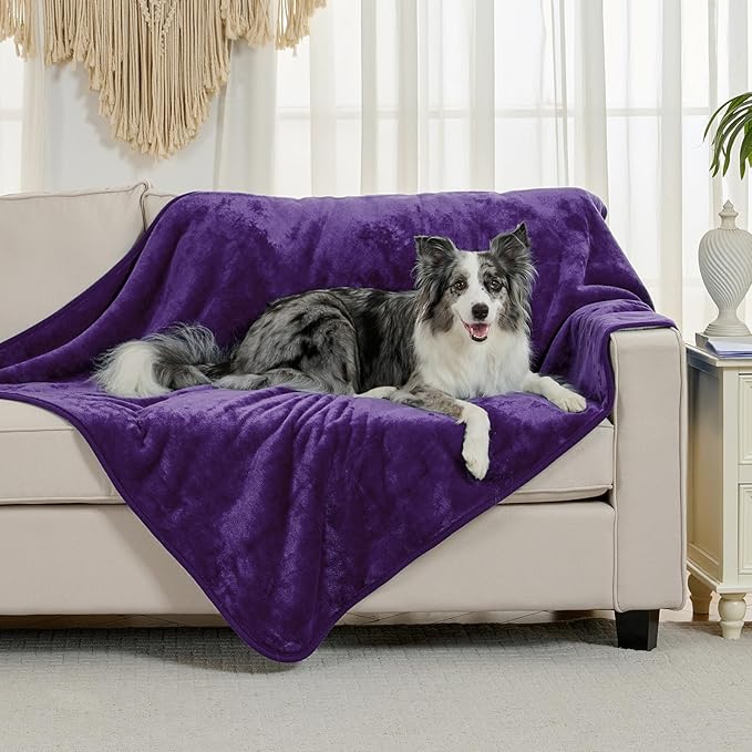 Yaning Waterproof Blanket for Bed Couch Sofa, Soft Liquid Pee Proof Pet Blanket for Dog Puppy Cat, Reversible Sherpa Fleece Furniture Protector (Dark Purple, 50x60 inches)