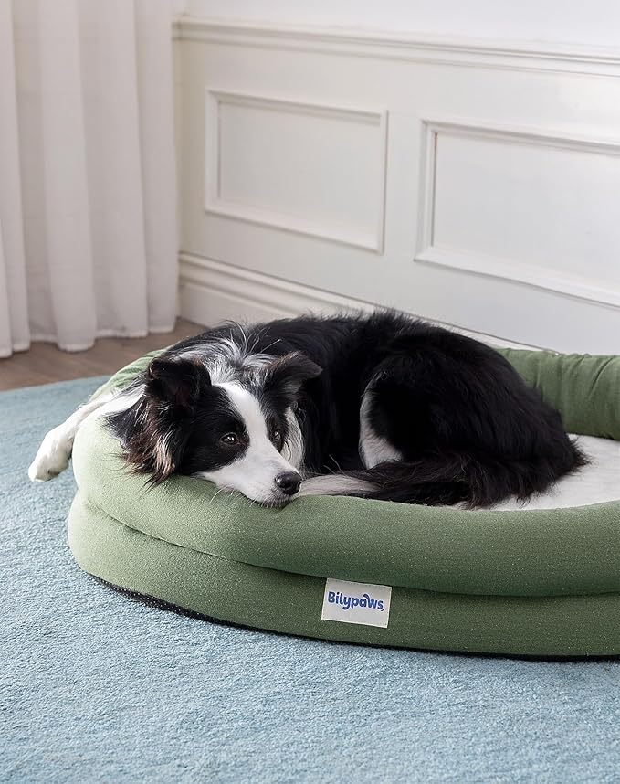 bilypaws Orthopedic Dog Bed for Small Dogs, Pet Sofa Bed with Egg Crate Foam, 4-Sided Bolster, Removable Washable Cover & Anti-Slip Bottom, Small Calliste Green
