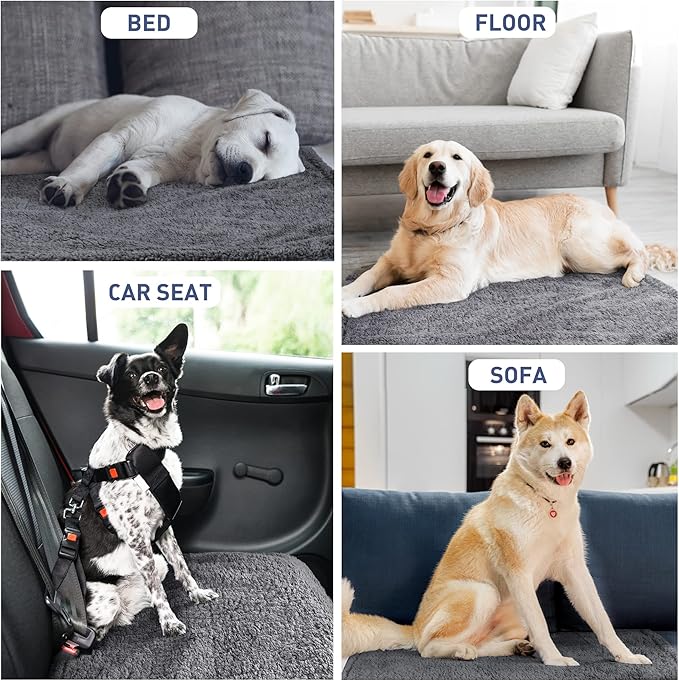 Kritter Planet Waterproof Dog Blanket, Reversible Water Proof Pet Blanket for Couch, Bed & Sofa, Washable Couch Covers for Large Dogs - Protects Furniture from Fur, Dirt, and Accidents