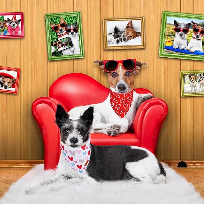 PTDECOR Valentine Dog Bandana, Reversible Holiday Dog Scarf, Multi Size Offered, Heart Valentine Bandanas for Medium Large Dogs Pets (Large)