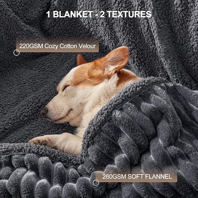 AIPERRO Waterproof Dog Blanket for Large Dogs, Washable Soft Puppy Cat Blanket Flannel Cotton Velour for Sofa Couch Protector, Comfort & Security Reversible Bed Protection for Pet, 60"X80", Gray
