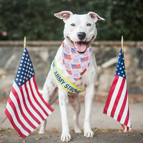 ADOGGYGO American Flag Dog Bandanas 2 Pack, Triangle Reversible Independence Day Puppy Scarf Bib, Red Blue 4th of July Bandana for Small Dogs (Small)