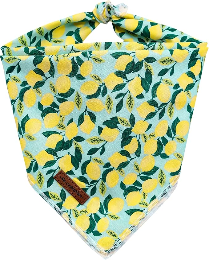 MR. CHUBBYFACE Spring Lemon Dog Bandanas Reversible Triangle Bibs Scarf Accessories for Dogs Cats Pets
