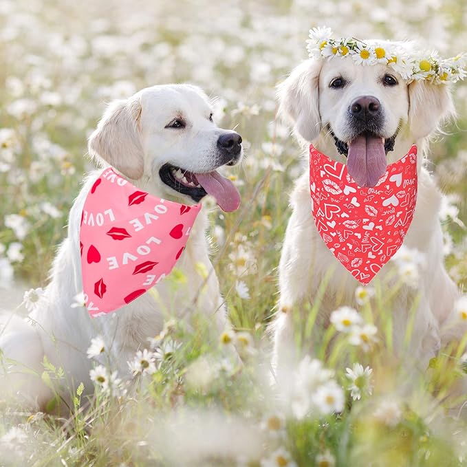 ADOGGYGO Valentine Dog Bandana, Multiple Sizes Offered, Reversible Triangle Dog Scarf Pet Bandana for Small Dogs (Small)