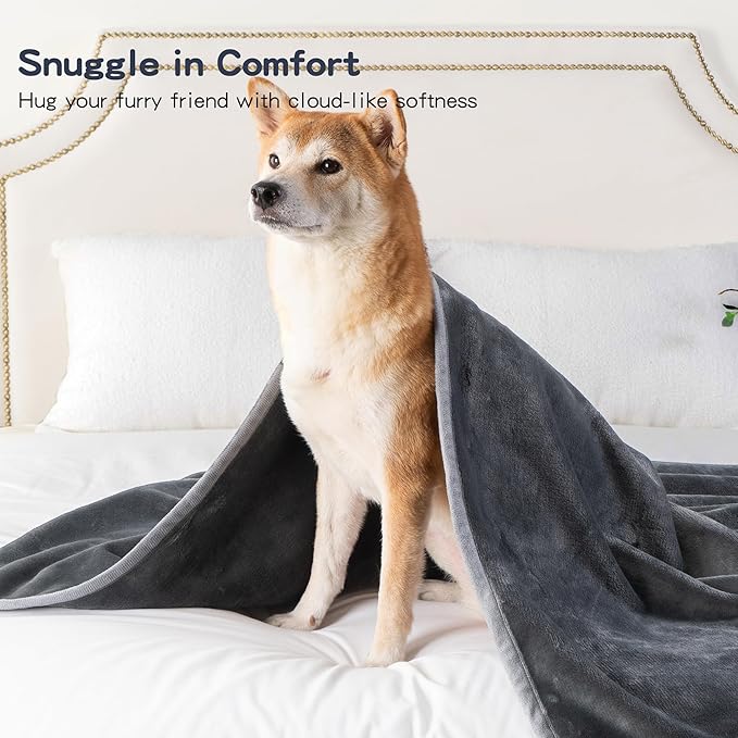 CAPT.SNOOZE Waterproof Dog Blankets Dark Grey, 30"x40" Cat Blanket for Indoor Cats, Soft Fluffy Sofa Car Bed Protector, Reversible Leakproof Flannel Puppy Blanket for Small Medium Dogs