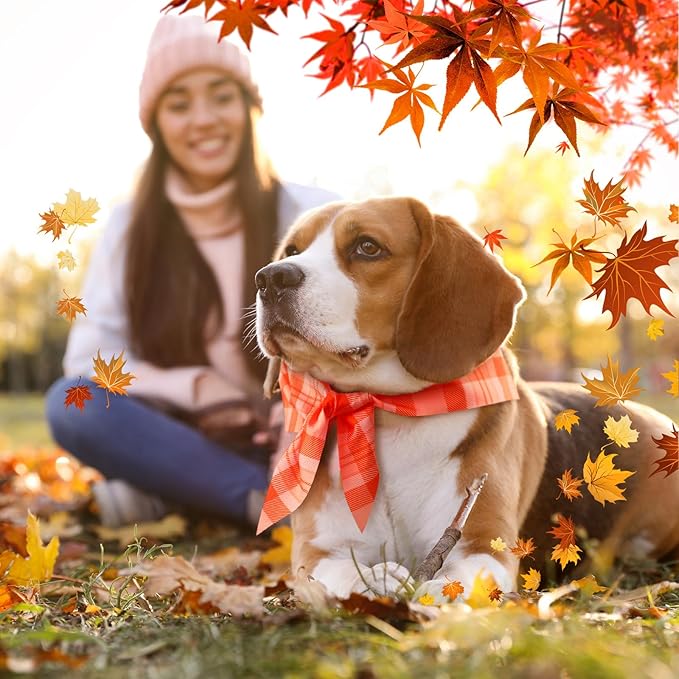 Abbylike 50 Pcs Thanksgiving Dog Bandanas Bulk Plaid Bandanas for Dogs Triangle Kerchief Bib Scarf for Pets Fall Costume Photo Props Accessories Pet Shops Groomers, 25 Styles (25.6 x 17.7 x 17.7)