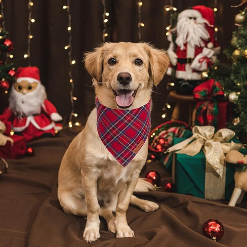 ADOGGYGO Christmas Dog Bandana 2 Pack, Stylish Plaid Pet Scarf, Premium Cotton Fabric, Multiple Sizes Offered, Christmas Bandanas for Large X-Large Dogs Pets (X-Large)