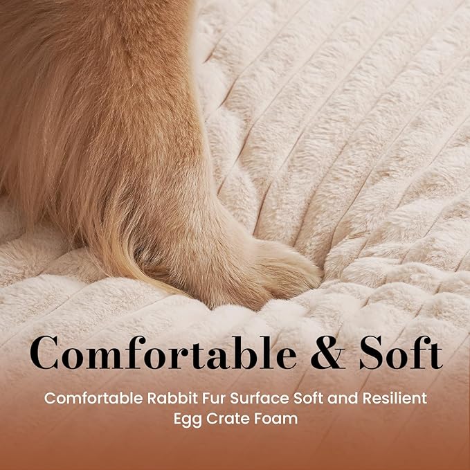 Cozila Dog Beds for Large Sized Dog, Orthopedic Pet Bed with Waterproof Lining, Soft Short Plush Surface & Egg Crate Foam, Machine Washable Pet Bed with Removable Cover & Anti Slip Bottom