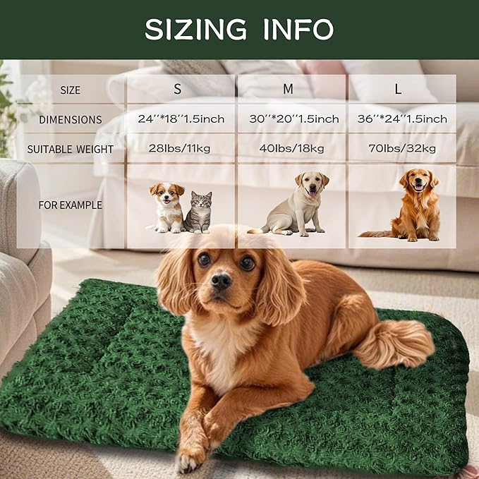 Dog Crate Bed Pad – Reversible Fleece Mat for Small, Medium, Large Dogs – Soft & Washable Anti-Slip Dog Bed Mat for Cages and Kennels – Comfortable, Durable Sleeping Pad for Dogs, Green, M