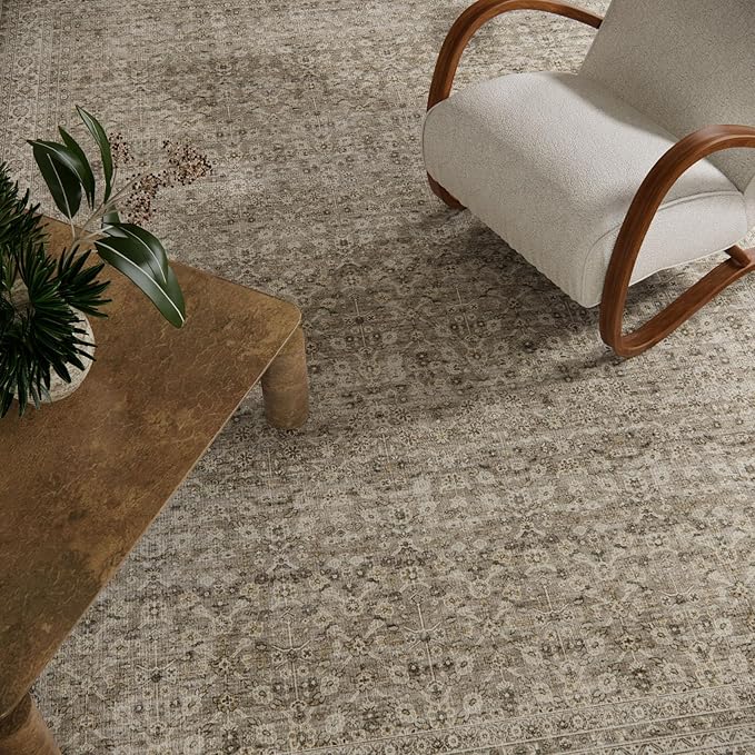 3x5 Washable Area Rugs for Entryway: Door Mat Indoor Entrance Throw Rug Stain Resistant Non Slip Low Pile Soft Carpet for Kitchen Front Door Indoor Entrance Entry Bedroom