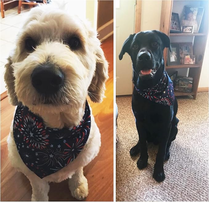 ADOGGYGO American Flag Dog Bandana, Multiple Sizes Offered, Triangle 4th of July Bandanas for Small Dogs (Small)