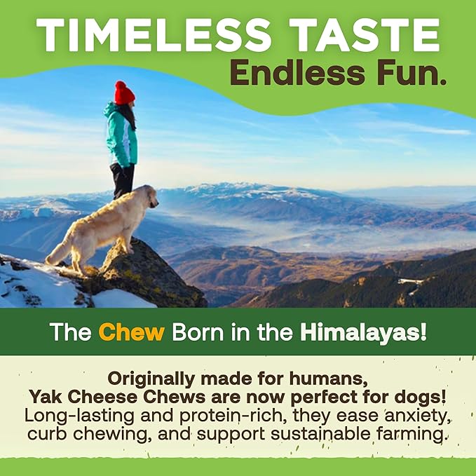 EcoKind Premium Gold Yak Cheese Himalayan Dog Chews, Healthy Dog Treats for Small Dogs, High Protein, All Natural, Long-Lasting Chew, Small - 4 Chews
