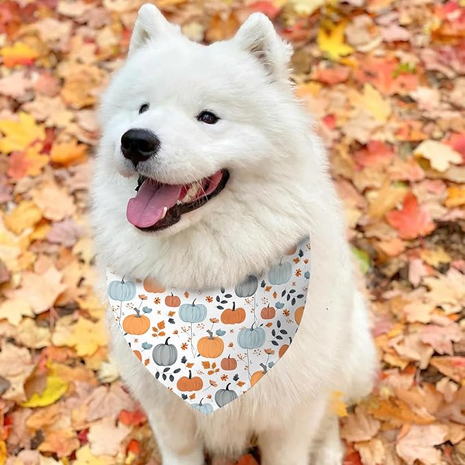 Fall Dog Bandana Reversible 2 Pack, Cute Autumn Pumpkin Floral Hedgehog Fall Pet Bandanas Set Adjustable Triangle Holiday Scarves for Medium Large Extra Large Boy Girl Dogs