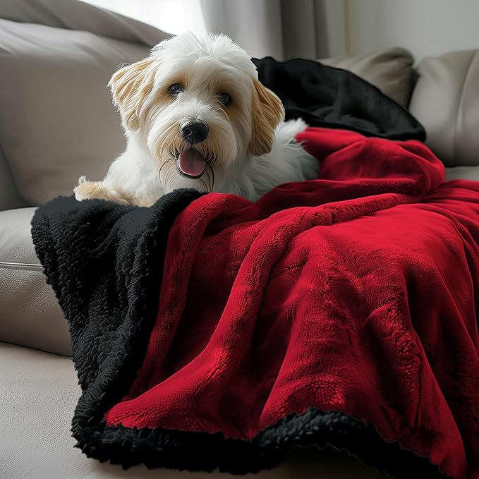 Bedding Aid Waterproof Blanket Twin Size - Sherpa Fleece Reversible Throw, Soft Warm Leak-Proof Bed & Couch Protector for Kids, Pets & Everyday Spills (Velvet Red/Obsidian Black, 65x90