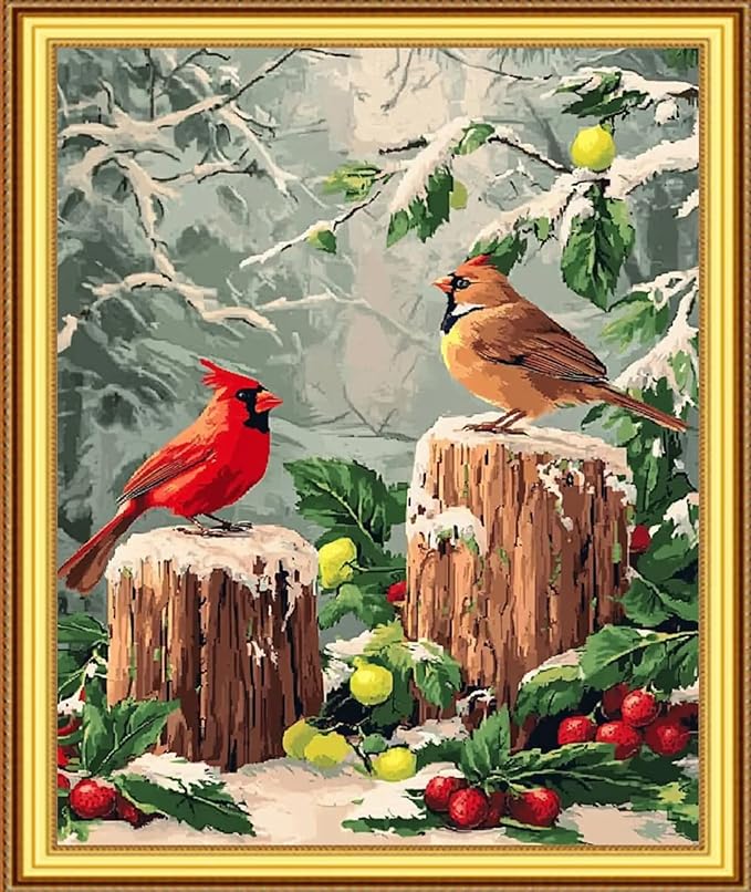 Foxnyart Stamped Cross Stitch Kits Full Range of Embroidery Needlework Starter Kits for Beginners Adults 11CT Embroidery Patterns Art Crafts DIY Needlepoint Kit-Little Bird Snow Scene 16x20 inchs