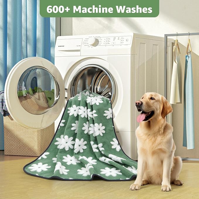 LOOBANI Washable Puppy Pads: Waterproof Reusable Pee Pads for Dogs, Non-Slip and Leak-Proof Dog Pee Mat, Absorbent Dog Training Pads for Puppy Playpen, Crate, Potty Training (36"x24", 2 Packs)