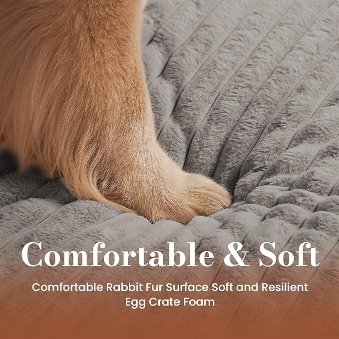 Cozila Orthopedic Dog Bed Medium Size Dog, Pet Beds with Waterproof Lining, Soft Short Plush Surface & Egg Crate Foam, Machine Washable Pet Mat with Removable Cover & Anti Slip Bottom