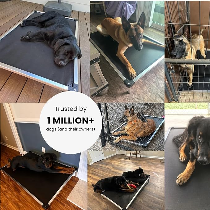 K9 Ballistics Chew Proof Elevated Cooling Outdoor Cot Bed for Small Dogs & Puppies - Virtually Indestructible, Preassembled, Withstands Aggressive Chewers - S, Black Mesh