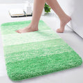 Arotive Microfiber Bathroom Rugs, Shaggy Soft and Absorbent Bath Rug, Non-Slip, Thick Plush Machine Washable Dry Bath Mats for Bathroom, Tub and Shower, 24x16, Green, Rectangular
