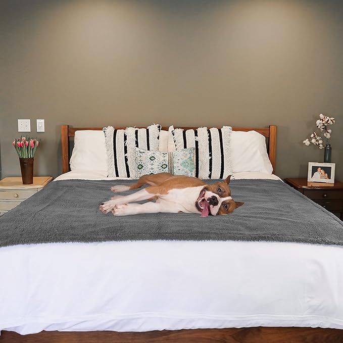 rocket & rex Large Waterproof Dog Blanket, Grey, Washable Waterproof Pet Blanket Protects Beds, Couches & Other Furniture, Premium Fleece Fabric with Reversible Faux Suede, 40" x 50" (Pack of 1)