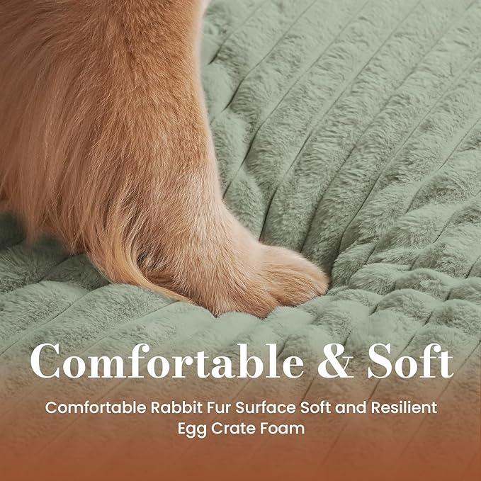 Cozila Dog Beds for Large Sized Dog, Orthopedic Pet Bed with Waterproof Lining, Soft Short Plush Surface & Egg Crate Foam, Machine Washable Pet Bed with Removable Cover & Anti Slip Bottom