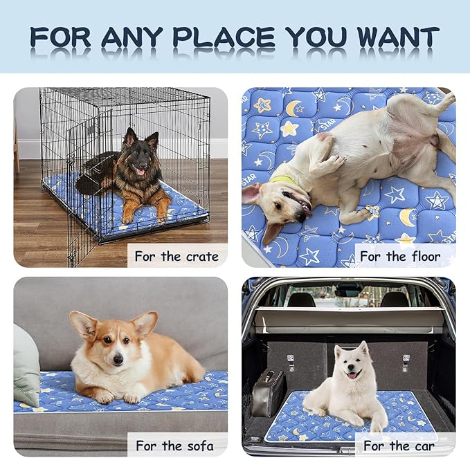 Bubble bear Dog Crate Mat - Ultra Soft, Washable & Anti-Slip Kennel Pad for Small/Medium/Large Dogs, Dark-Hued to Hide Stains (30"x19")