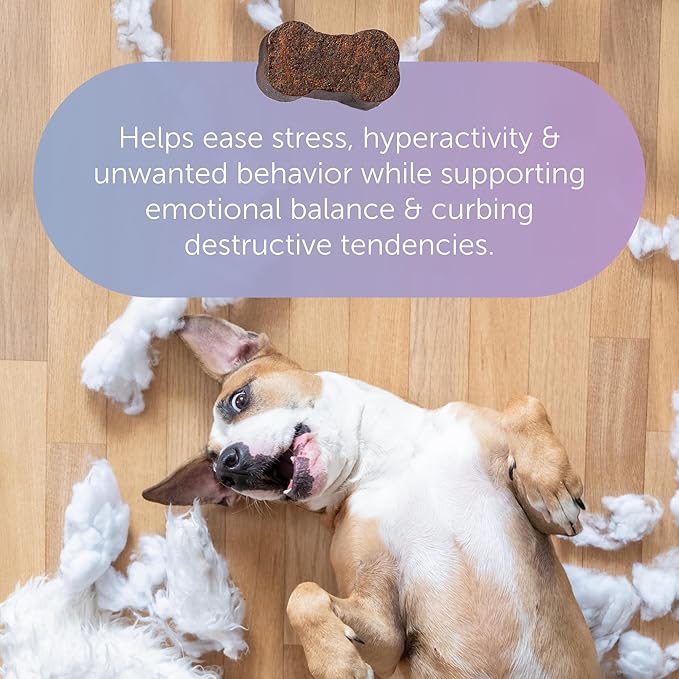 Veterinarian Recommended Solutions Tranquillium Canine Calming Chews from