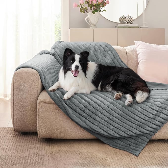 ZAKAPAWS Waterproof Dog Blanket for Small Dogs, Luxury Plush Washable Cats Blankets for Couch Protection, Super Soft Calming Pet Blanket for Indoors (Grey, 25"x35")