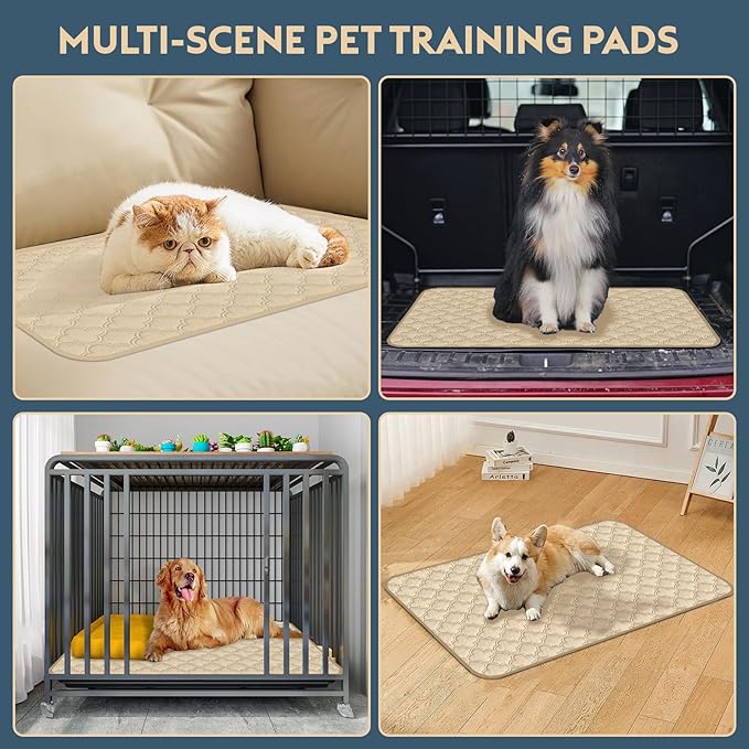 FunFurry Washable Pee Pads for Dogs - 2 Pack Reusable Waterproof Puppy Training Pads, Super Absorbent with Dog Paw Shape Non-Slip Backing (Cream, 41" X 41" - 2 Pack)