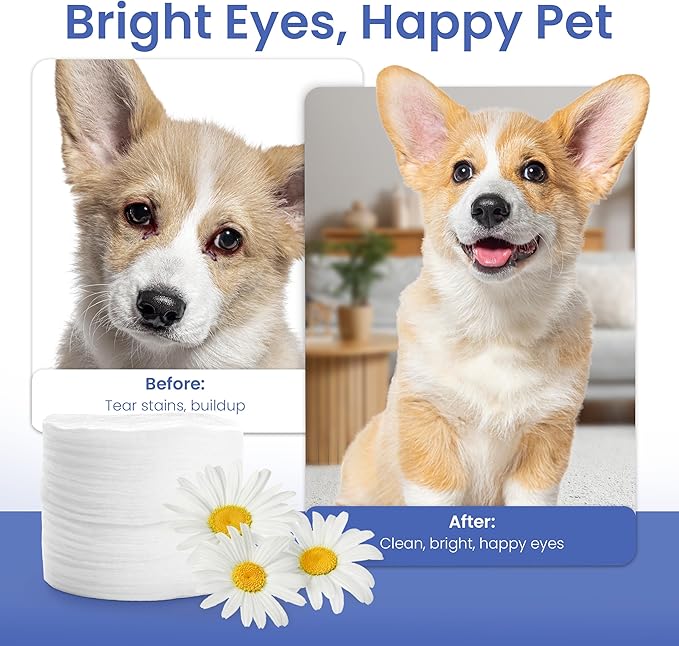 American Kennel Club Pet Eye Wipes for Dogs & Cats – Tear Stain Remover & Eye Discharge Cleaner – Hypoallergenic Grooming Wipes, 100 Count (Lavender Scent)