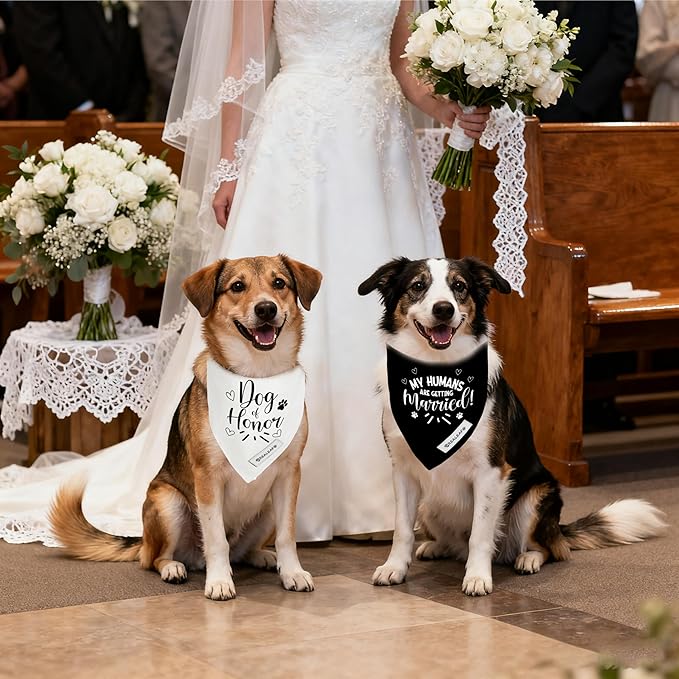 Realeaf My Humans are Getting Married Dog of Honor Dog Bandana,Wedding Outfit for Boy and Girl, Premium Durable Fabric, Engagement Announcement for Large and XLarge Dogs (Large)