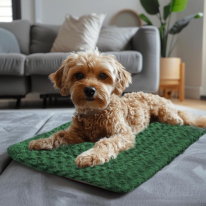 WITTOP Washable Dog Bed Plush Orthopedic Outdoor Crate Mat with Non-Slip Bottom,Luxe Soft Kennel Pad for Pets,Cozy Cage Cushion & Pet Sleeping Mattress Large Sized,Medium,Small Dogs,24 x 18 inch,Green