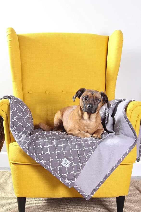 Molly Mutt Pet Blanket, 100% Cotton Canvas Top with Fleece Underside, Machine Washable, Durable and Comfortable, Ideal for Sofa, Couch, and Cars, No Harmful Chemicals, 48"x52"