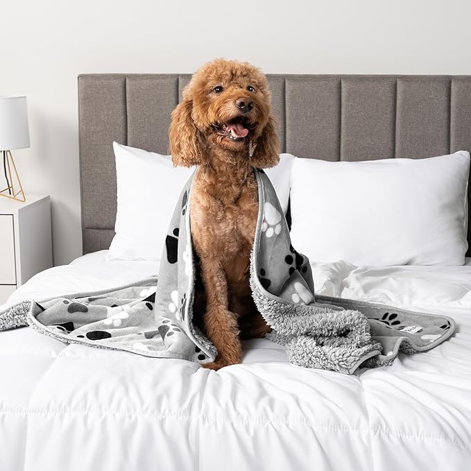 PetAmi Waterproof Dog & Cat Blanket, Pee Proof for Couch, Reversible, Soft Fleece, Washable, 24x32 Paw Gray
