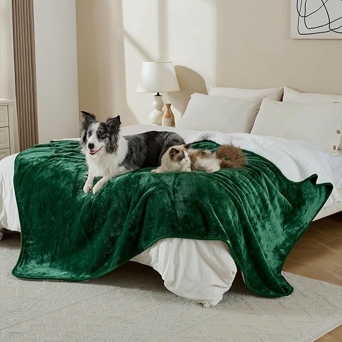 Yaning Waterproof Blanket for Bed Couch Sofa, Soft Liquid Pee Proof Pet Blanket for Dog Puppy Cat, Reversible Sherpa Fleece Furniture Protector (Green, 60x80 inches)