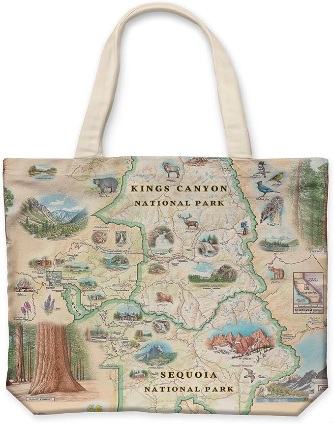 Xplorer Maps Canvas Tote Bag with Handles, Cloth Grocery Shopping Bag, Reusable & Eco-friendly Bag, 100% Cotton, Washable