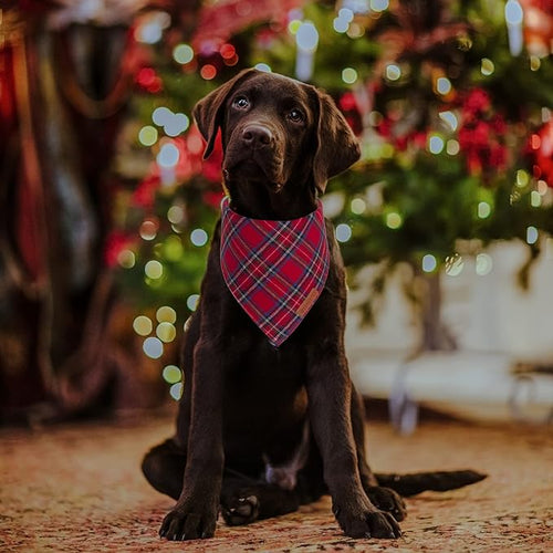 ADOGGYGO Christmas Dog Bandana 2 Pack, Stylish Plaid Pet Scarf, Premium Cotton Fabric, Multiple Sizes Offered, Christmas Bandanas for Medium Large Dogs Pets (Large)