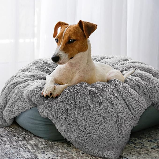 LOCHAS Luxury Fluffy Dog Blanket, Extra Soft and Warm Sherpa Fleece Pet Blankets for Dogs Cats, Plush Furry Faux Fur Puppy Throw Cover, 20''x30'' Grey