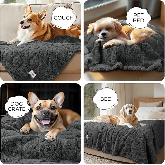 Luciphia Small Dog Blanket Washable Pet Bed Cover Soft Fluffy Puppy Blanket with Premium Fleece 300GSM Cozy Calming Cat Blankets for Indoor Cats Grey 30x20 inch